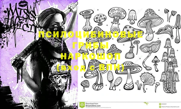 индика Абинск