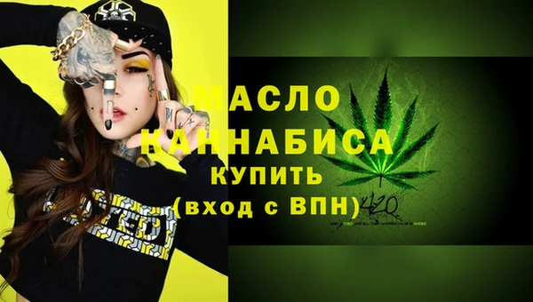СК Ельня