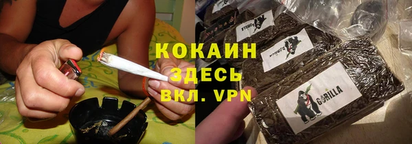 индика Абинск