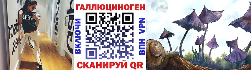 Псилоцибиновые грибы Psilocybe  Братск 